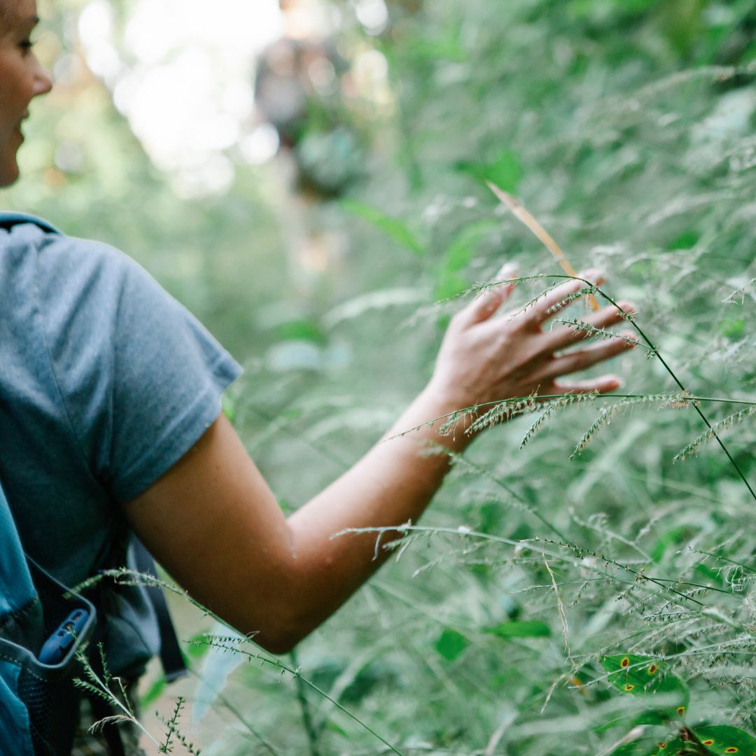 NatUrwissen to go - Für Naturliebhaber